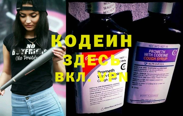 амф Алексин